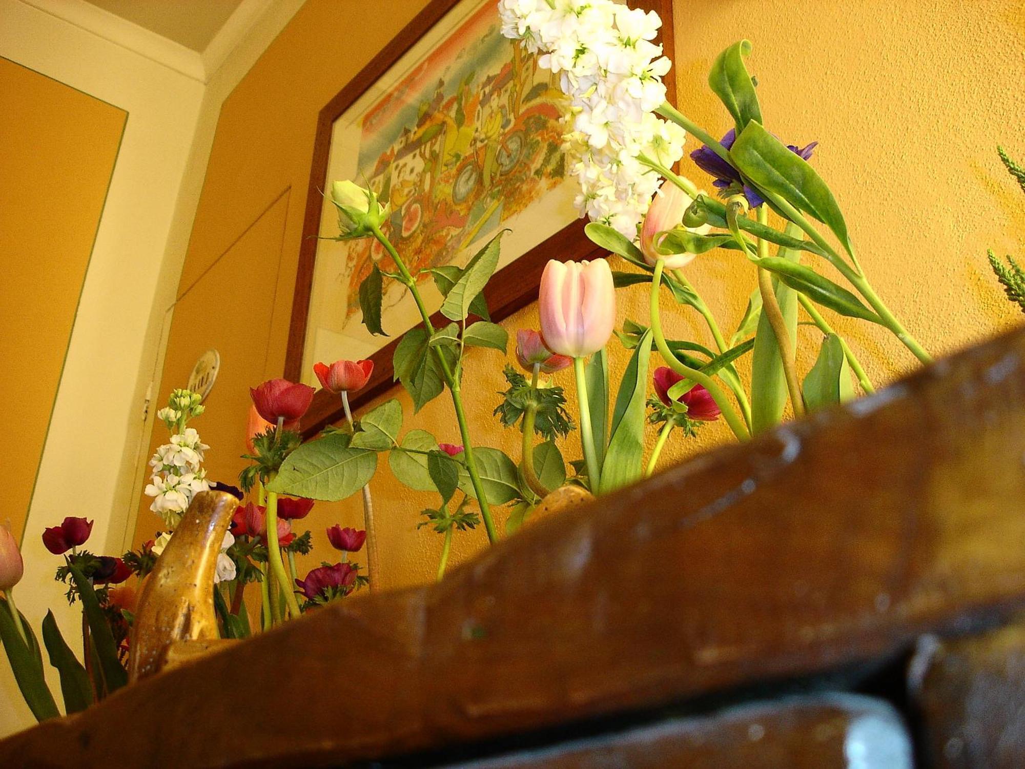 Hotel San Martino Lucca